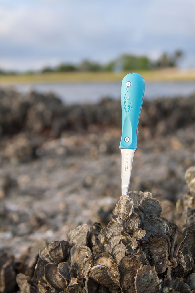 Toadfish Outfitters PUT 'EM BACK Oyster Knife - Essentially Charleston